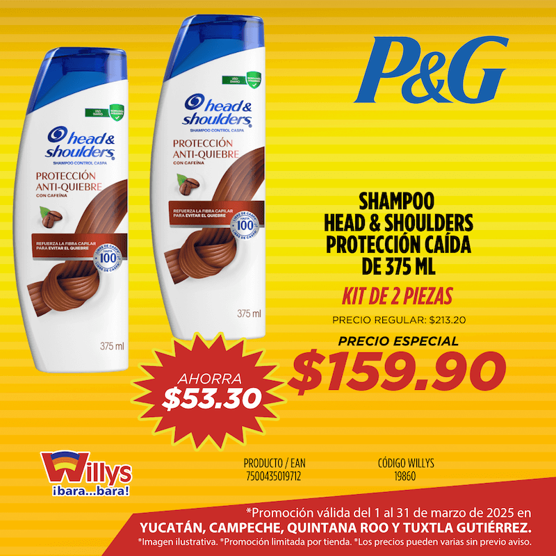 SHAMPOO HEAD AND SHOULDERS PROTECCION CAIDA 375ML