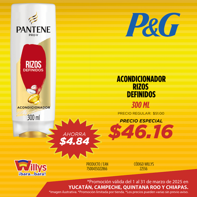 ACONDICIONADOR RIZOZ DEFINIDOS 300ML